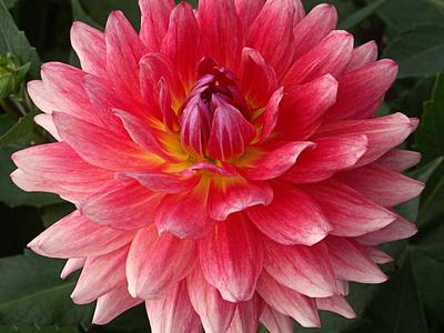 Goshen Beauty