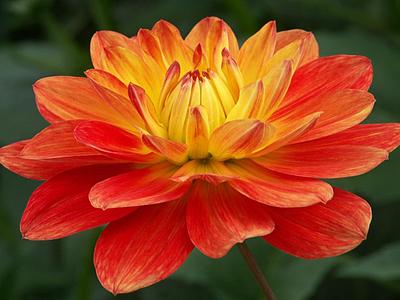 Ken's Flame