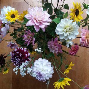 Eerste Maastrichtse Dahlia Vereniging